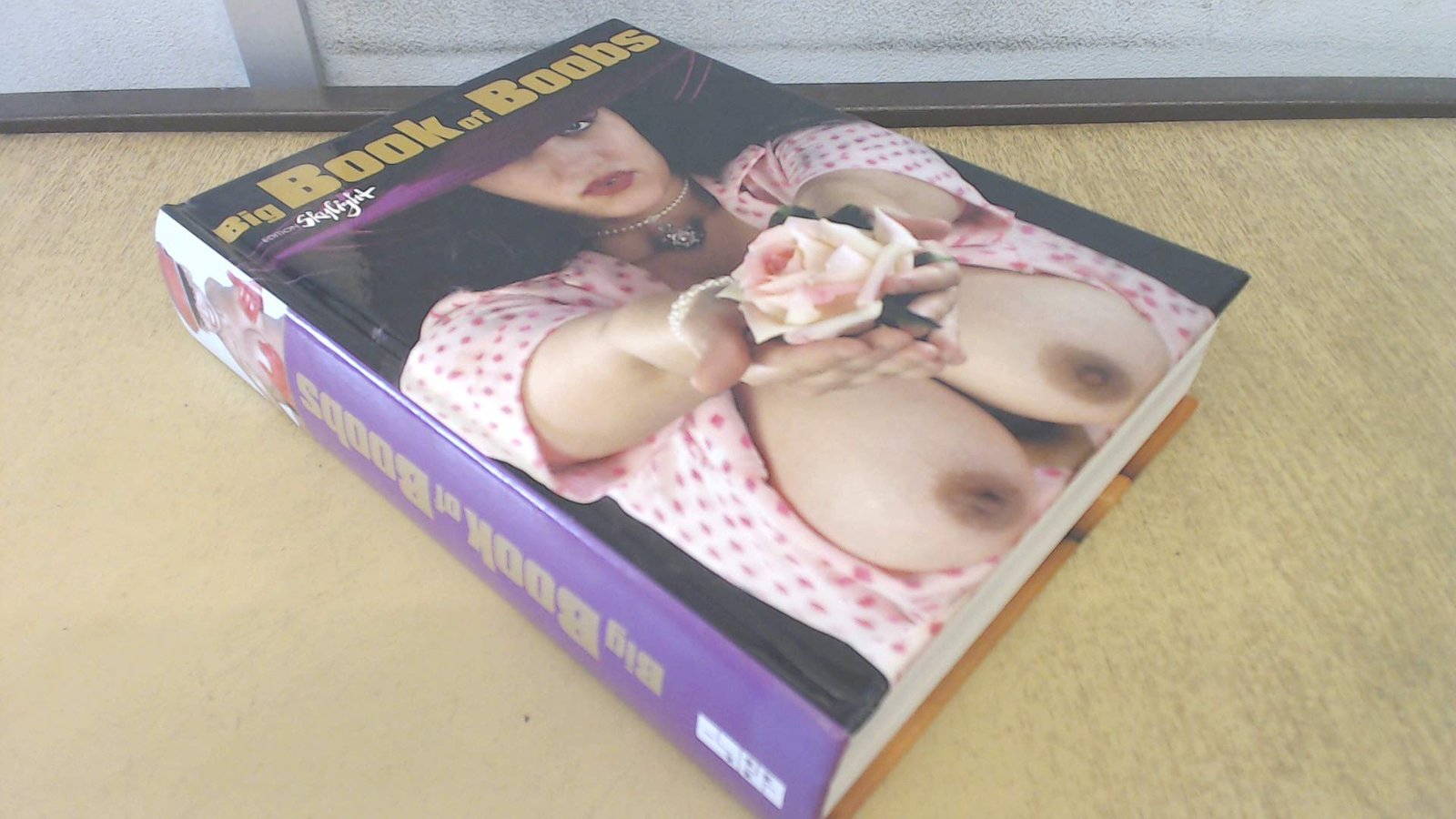 The Big Book of Boobs Edition Skylight