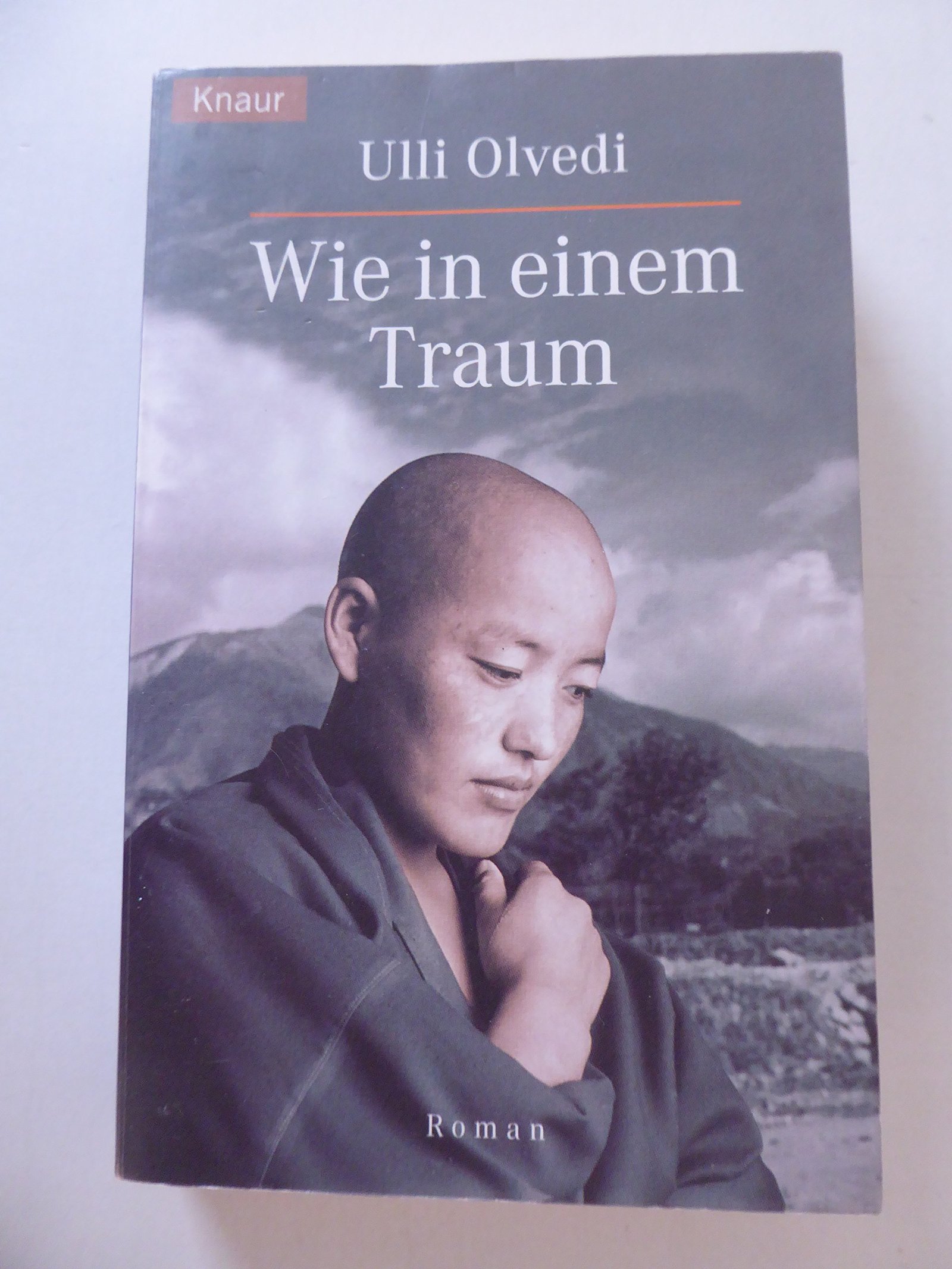 Wie in einem Traum Roman