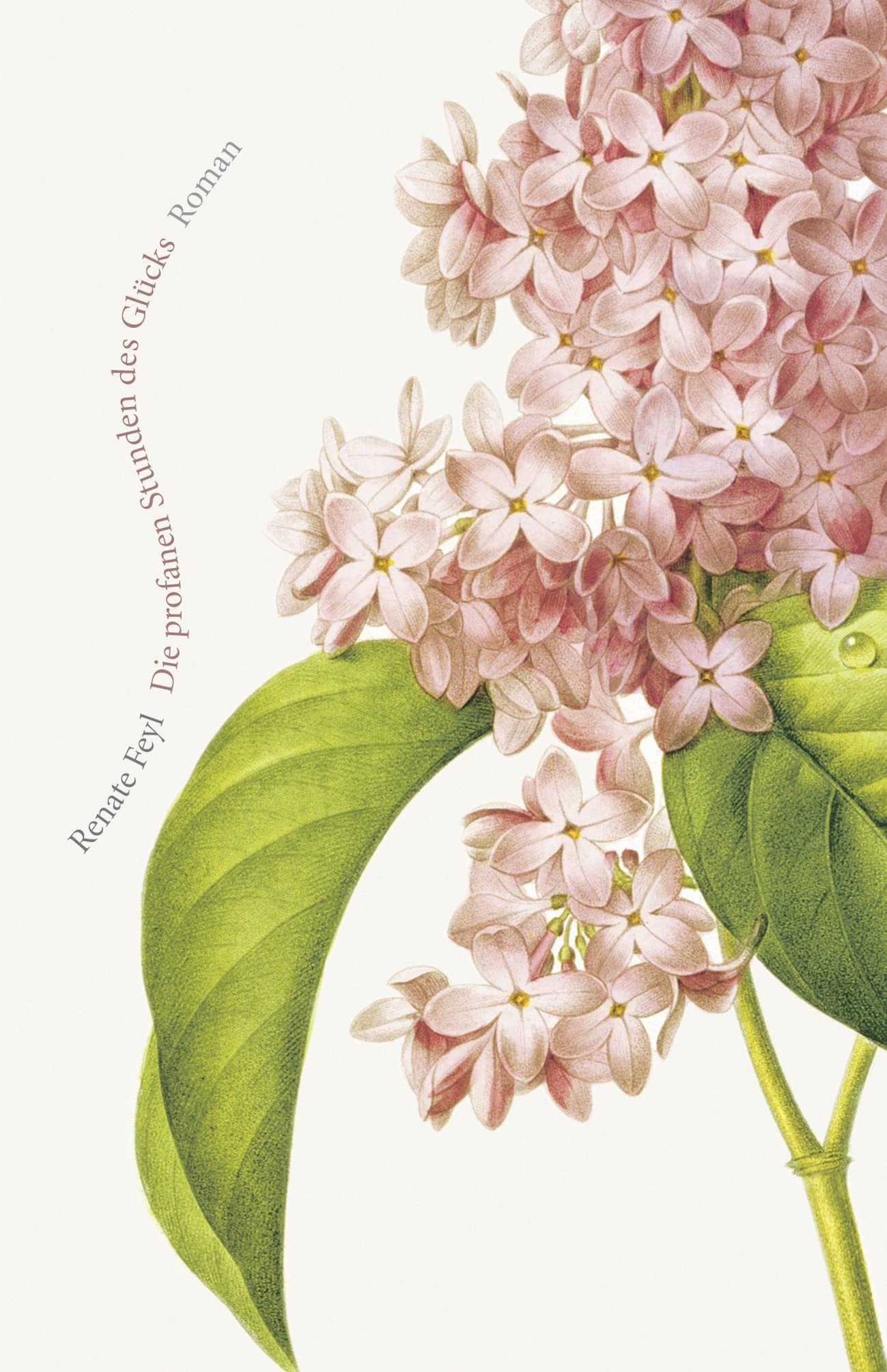 Die profanen Stunden des Glücks Roman