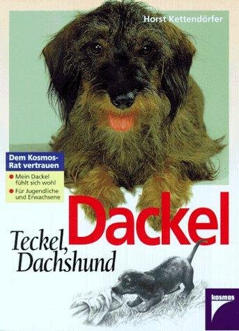 Dackel Teckel, Dachshund