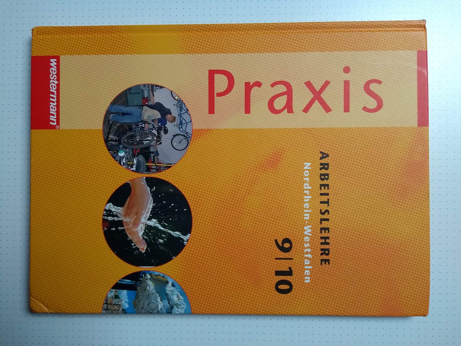 Praxis - Arbeitslehre, Wirtschaft Westermann