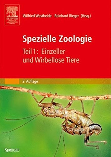 Spezielle Zoologie Elsevier, Spektrum Akademischer Verl.
